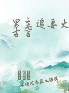 男主追妻火葬场古言