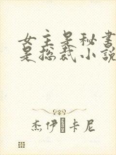 女主是秘书男主是总裁小说