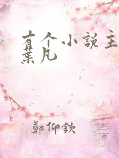 有个小说主角叫叶凡