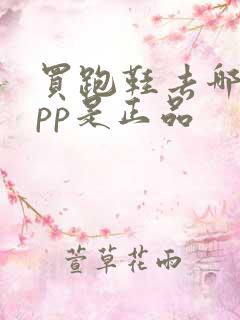 买跑鞋去哪个app是正品
