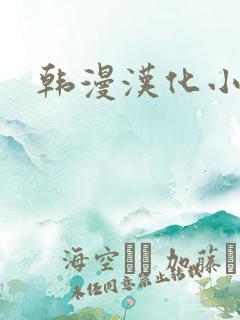 韩漫汉化小说
