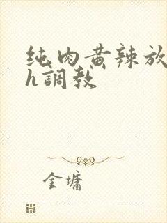 纯肉黄辣放荡高h调教