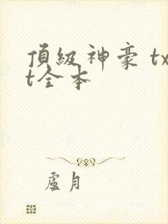 顶级神豪 txt全本