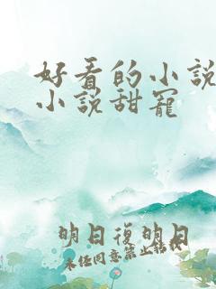 好看的小说短篇小说甜宠