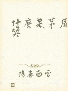 什么是茅盾文学奖