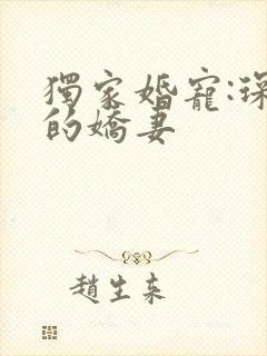 独家婚宠:琛少的娇妻
