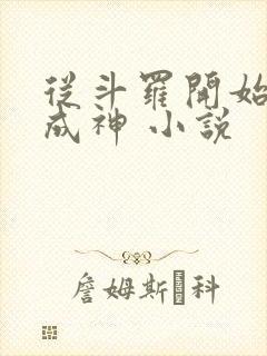 从斗罗开始逆天成神 小说