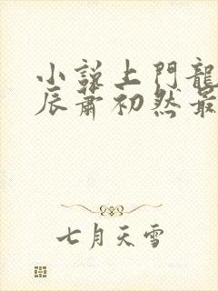 小说上门龙婿叶辰萧初然最新更新