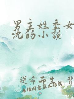 男主姓季女主姓沈的小说