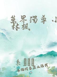 万界独尊 小说 林枫