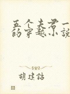 五个夫君一个妻的穿越小说