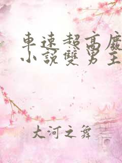 车速超高废文的小说双男主