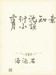 霍衍沈知意周沁月小说