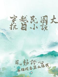 穿越民国大少爷抗日小说