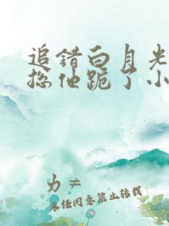 追错白月光的厉总他跪了小说