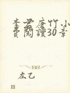 李君唐竹小说免费阅读30章