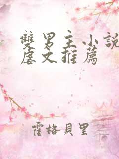 双男主小说阅读虐文推荐