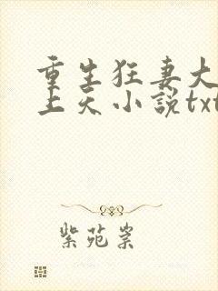 重生狂妻大佬宠上天小说txt