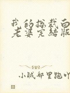 我的总裁白富美老婆完结版