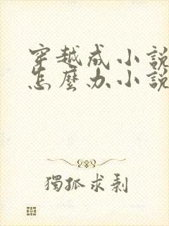 穿越成小说反派怎么办小说