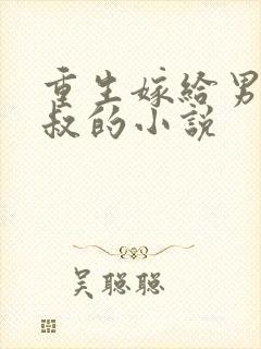 重生嫁给男主他叔的小说