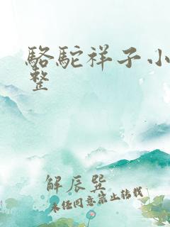 骆驼祥子小说完整