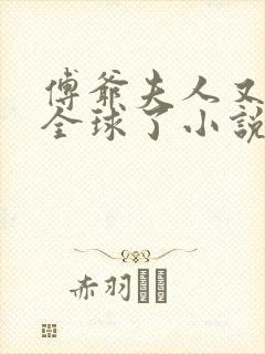 傅爷夫人又惊艳全球了小说下载txt