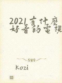 2021有什么好看的电视剧