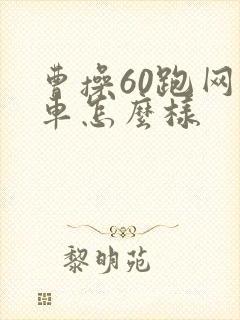 曹操60跑网约车怎么样