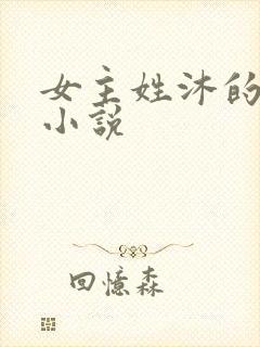 女主姓沐的重生小说