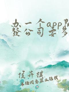 办一个app开发公司要多少钱