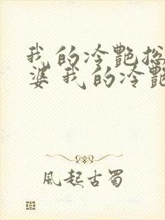我的冷艳总裁老婆 我的冷艳总裁老婆