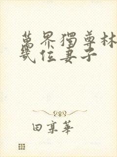 万界独尊林枫有几位妻子