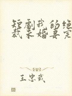 短剧我的绝色总裁未婚妻完整版