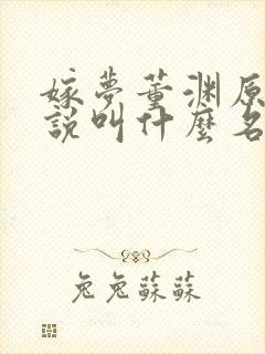 嫁梦董渊原著小说叫什么名字