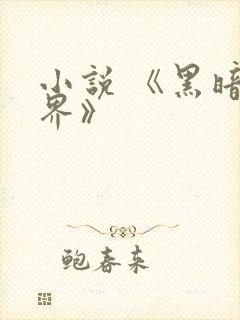 小说 《黑暗天界》