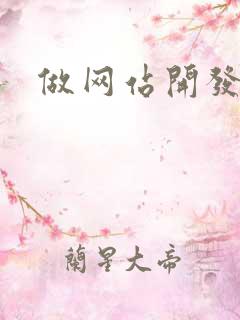 做网站开发公司