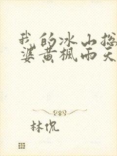 我的冰山总裁老婆黄枫雨天
