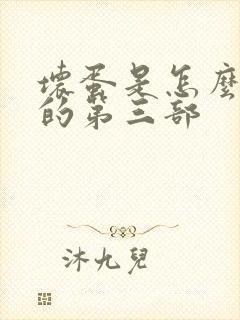 坏蛋是怎么炼成的第三部