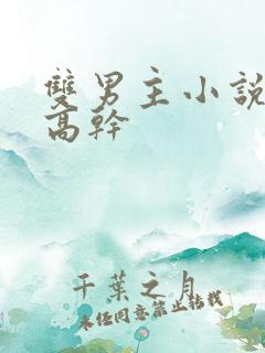 双男主小说推荐高干