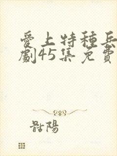 爱上特种兵电视剧45集免费观看