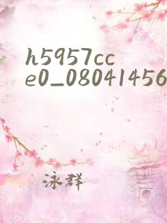 h5957cce0_0804145607.apk.1