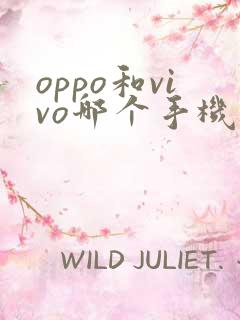 oppo和vivo哪个手机比较好