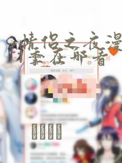 情侣之夜漫画第1季在哪看：结局+番外