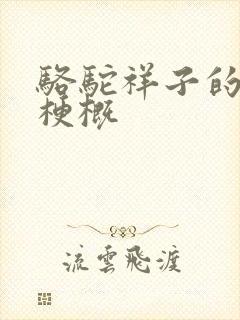 骆驼祥子的章节梗概