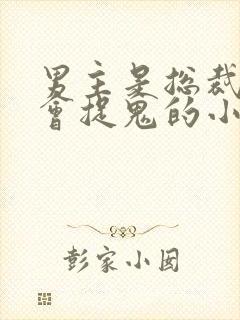 男主是总裁女主会捉鬼的小说