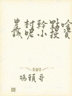 农村干点啥能挣钱呢小投资
