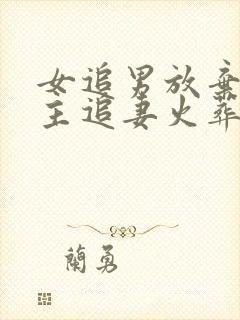 女追男放弃后男主追妻火葬场古言