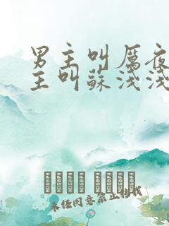 男主叫厉夜霆女主叫苏浅浅的小说