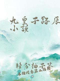 九皇子路辰穿越小说